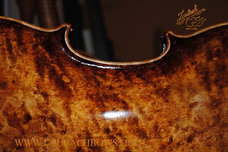 Laubach violin modell Ltd. Edition-168V Birdseye